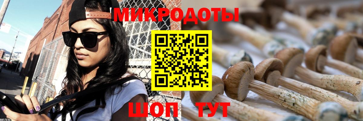 Псилоцибиновые грибы GOLDEN TEACHER Назрань