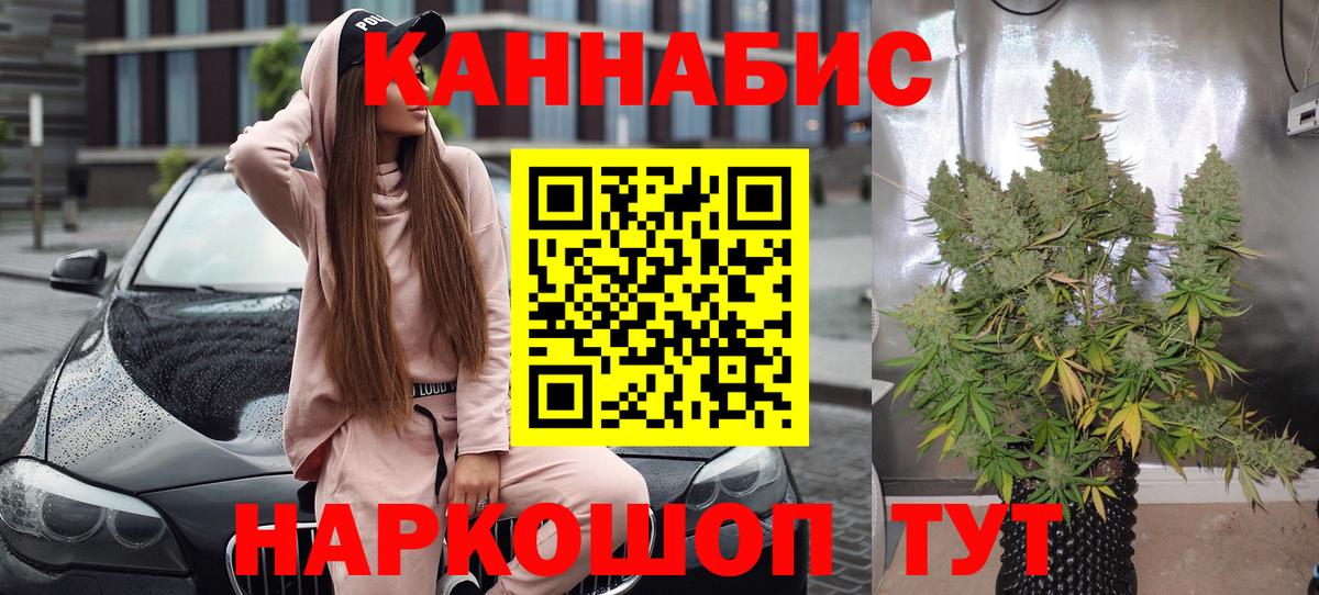 Шишки марихуана индика  Вход с VPN  Назрань  Марихуана LSD WEED 